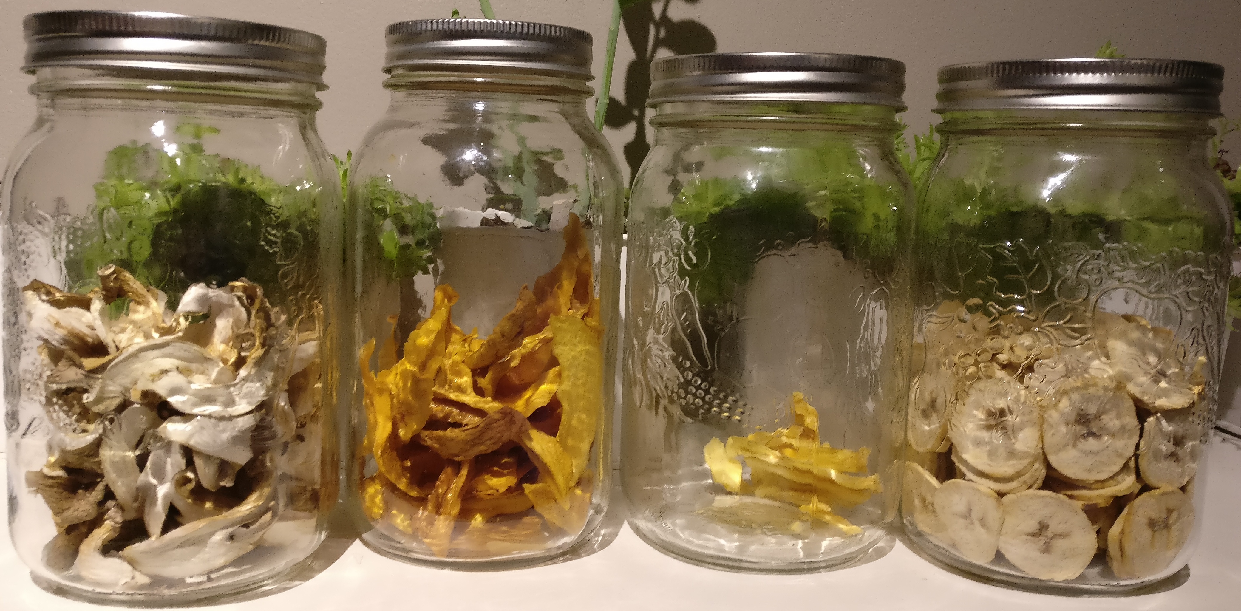 All stored in mason jars