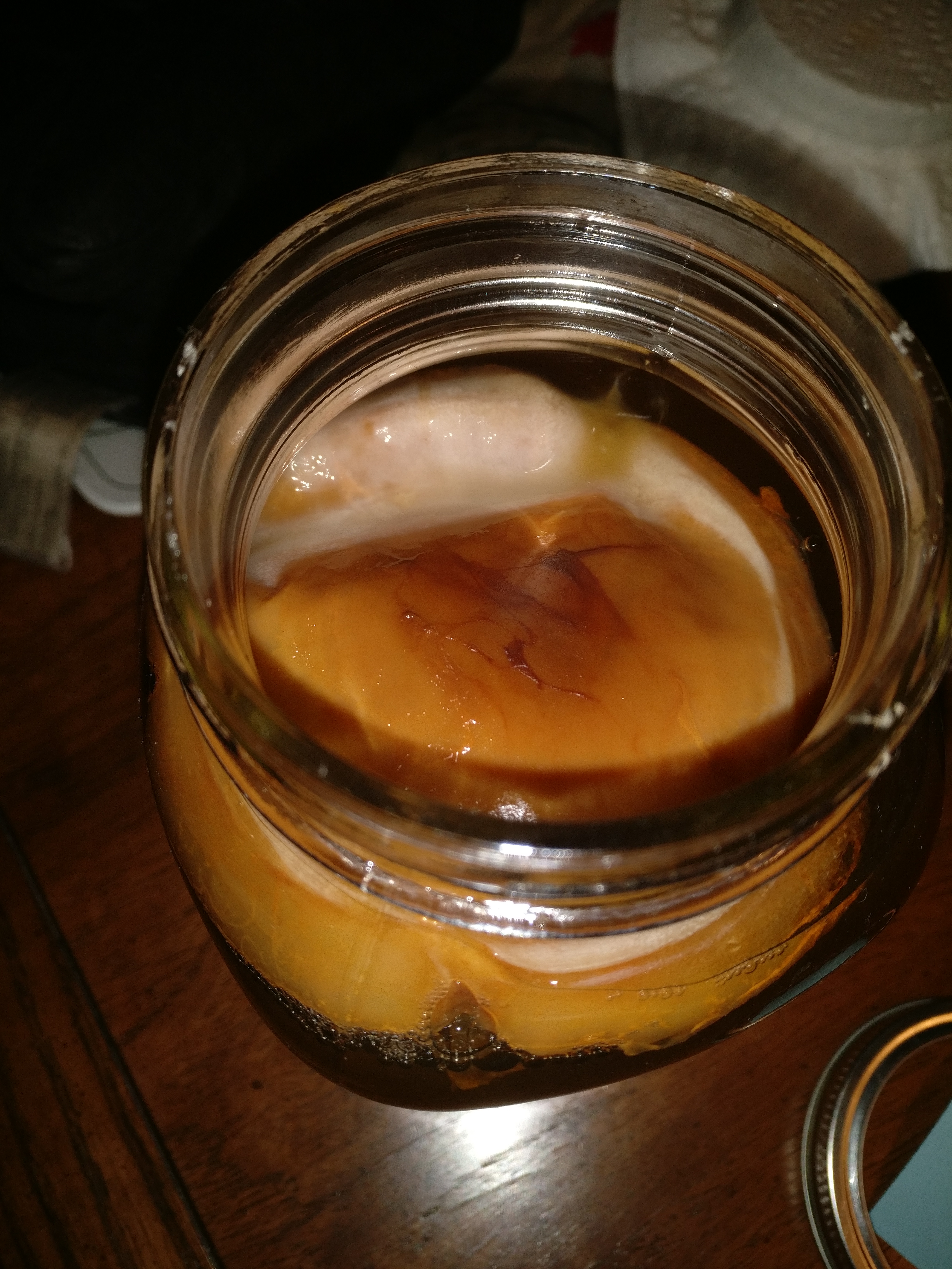 The SCOBY